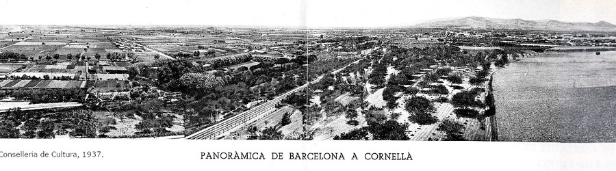 2 Panorámica